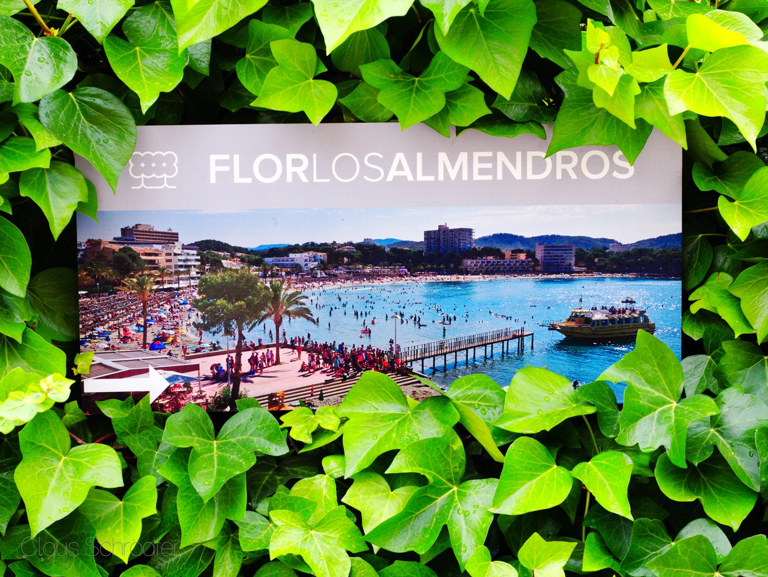 Flor Los Almendros Hotel Пегера Экстерьер фото
